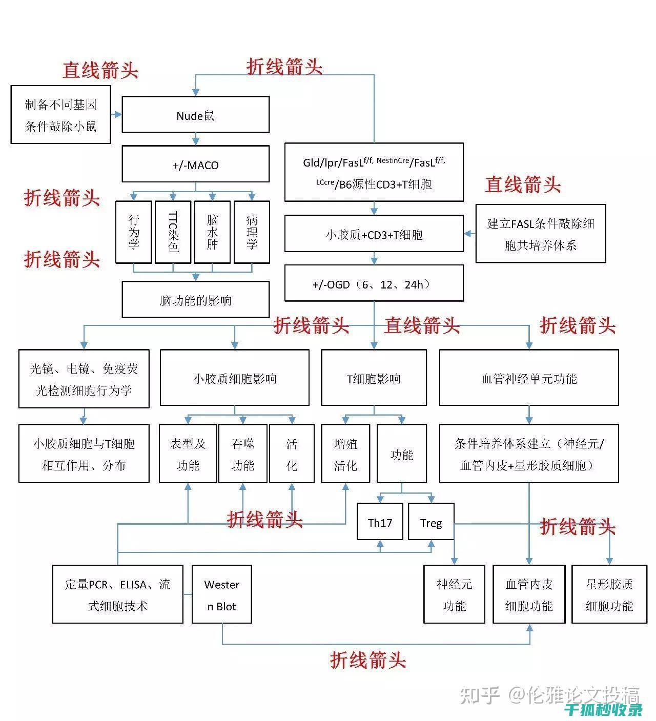 如何利用数据库恢复WordPress中丢失的文章