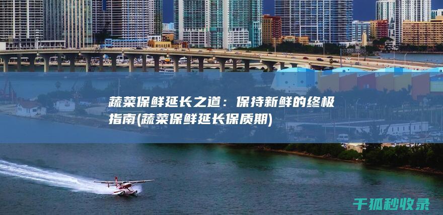 蔬菜保鲜延长之道：保持新鲜的终极指南 (蔬菜保鲜延长保质期)