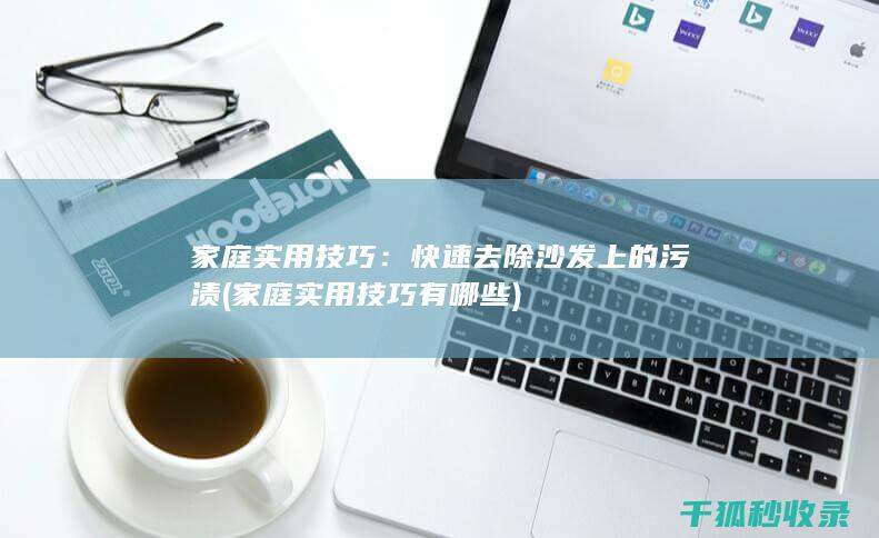 家庭实用技巧：快速去除沙发上的污渍 (家庭实用技巧有哪些)