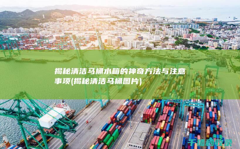 揭秘清洁马桶水箱的神奇方法与注意事项 (揭秘清洁马桶图片)