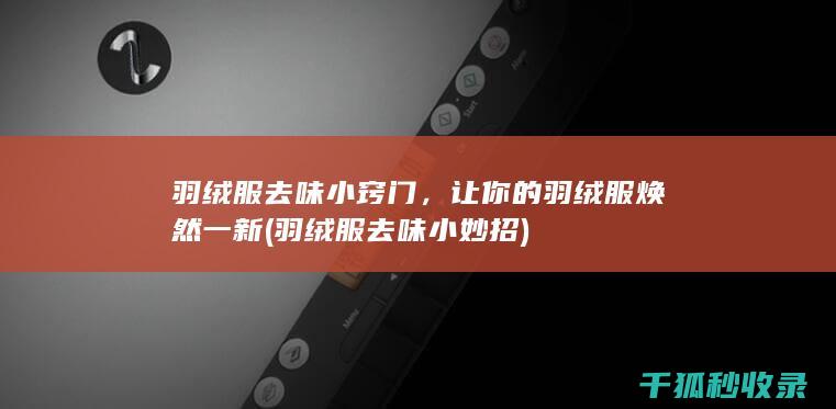 让你的羽绒服焕然一新