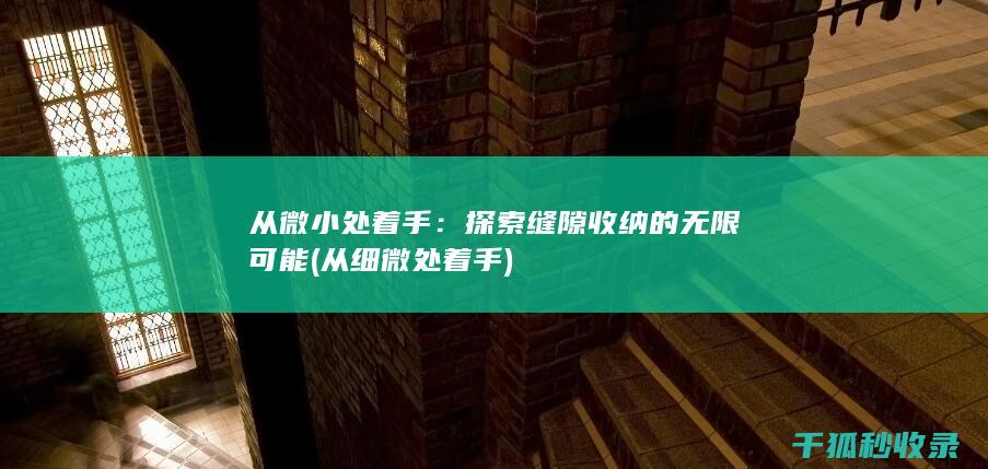 从微小处着手：探索缝隙收纳的无限可能 (从细微处着手)
