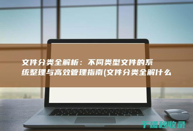 文件分类全解析：不同类型文件的系统整理与高效管理指南 (文件分类全解什么意思)