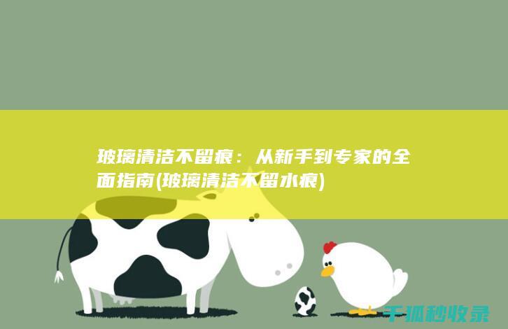 玻璃清洁不留痕：从新手到专家的全面指南 (玻璃清洁不留水痕)