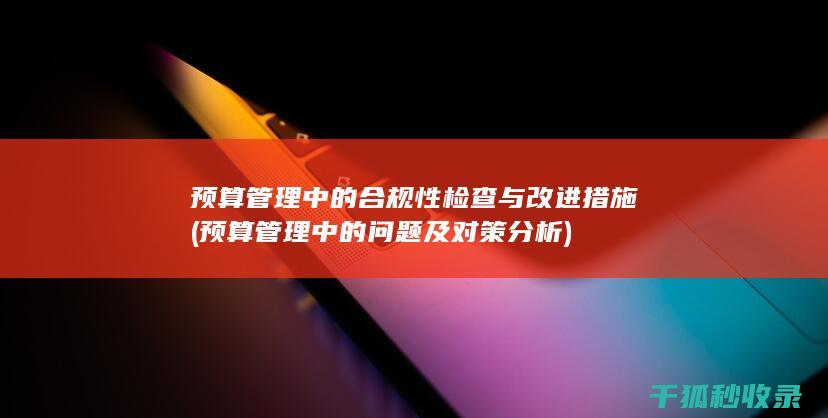 预算管理中的合规性检查与改进措施 (预算管理中的问题及对策分析)