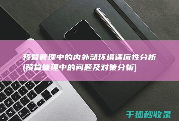 预算管理中的内外部环境适应性分析 (预算管理中的问题及对策分析)