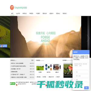 拓阳科技