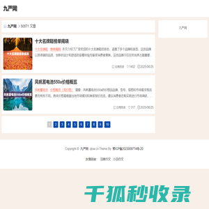 九严网