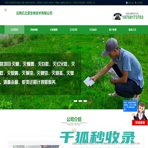 昆明白蚁防治