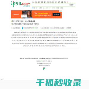 域名/IPv4/IPv6