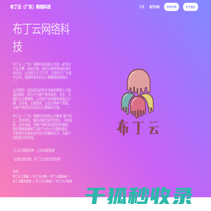 布丁云网络科技官网