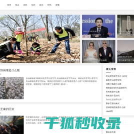 粉妆玉砌网