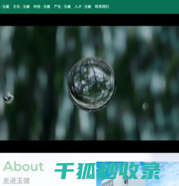 植物提取物｜越橘提取物｜蔓越莓提取物