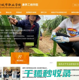 南京城市职业学院