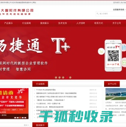 绍兴市大智软件有限公司