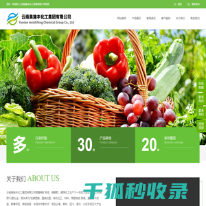云南美施丰化工集团有限公司