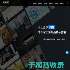 专业网站建设