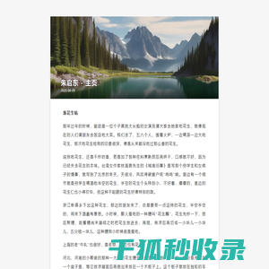 优质好看小说阅读推荐