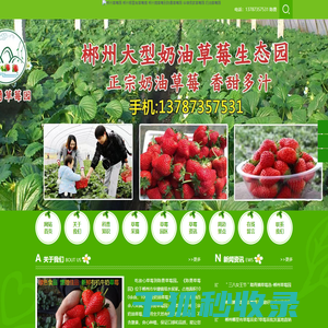 郴州草莓园